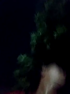 yoryisexi online show from October 2025 12:14:02 AM