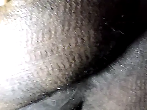 Goodman4usexy online show from February 2026 12:15:01 PM