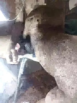 Goodman4usexy online show from March 2026 11:53:02 PM