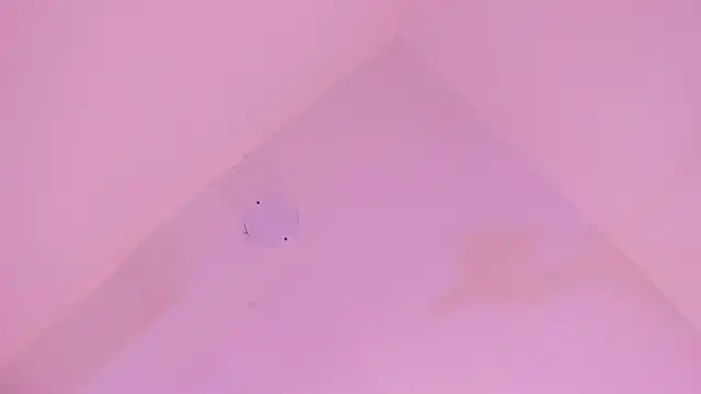 LoveQueen2 online show from January 2026 11:58:01 AM