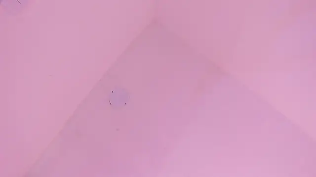 LoveQueen2 online show from January 2026 11:49:02 AM