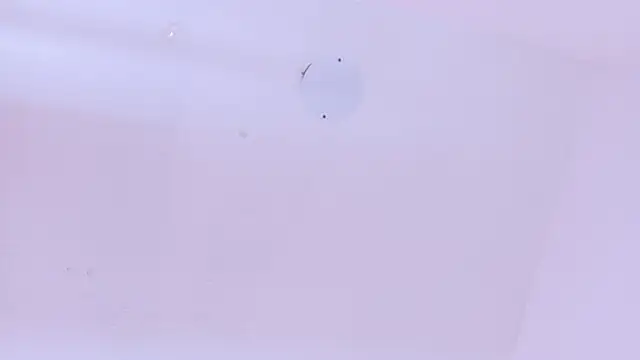 LoveQueen2 online show from March 2026 11:44:01 AM