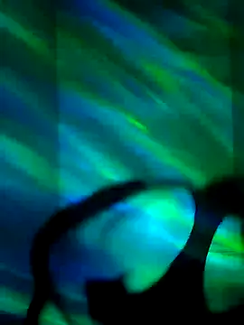 Snapshot of CloudyBoy_Toy chatting on January 2025 12:54:01 AM CloudyBoy Toy online show from January 2025 12:54:01 AM