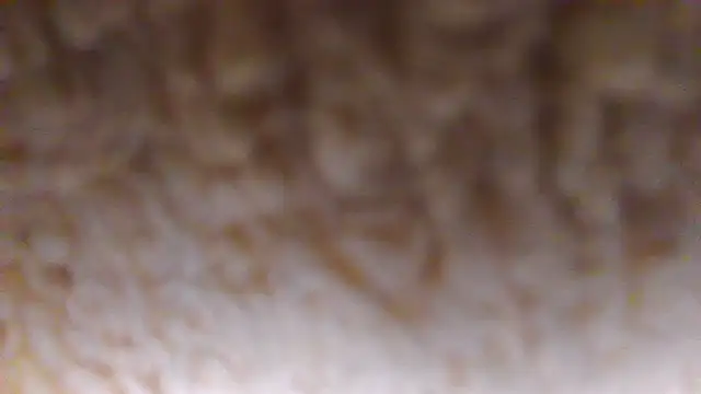 Burberrry  online show from June 2026 07:22:02 PM