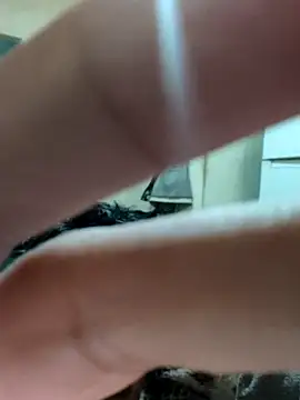 khema99 online show from January 2026 10:03:02 PM