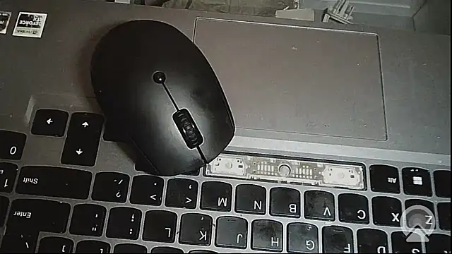 EXOTICLEXXXI online show from February 2026 03:23:02 PM