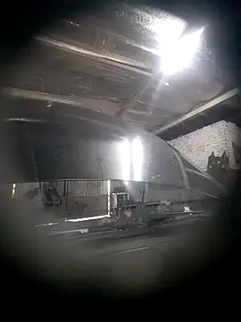 hecwil8 online show from December 2025 11:44:02 AM