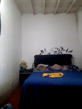 hecwil8 online show from November 2025 03:33:02 PM