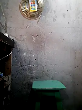 hecwil8 online show from December 2025 03:17:01 PM