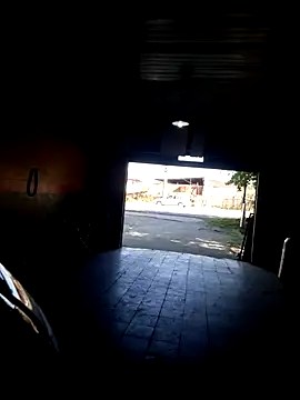 hecwil8 online show from October 2025 11:51:02 AM