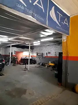 hecwil8 online show from November 2025 12:42:01 PM