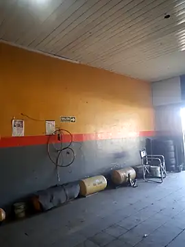 hecwil8 online show from February 2026 12:27:02 PM