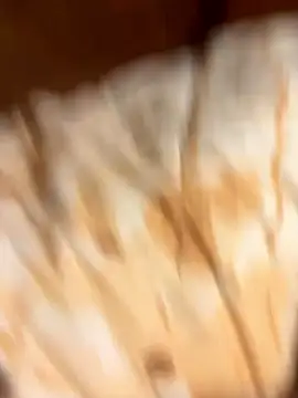 gigetto1977 online show from January 2026 02:33:01 PM