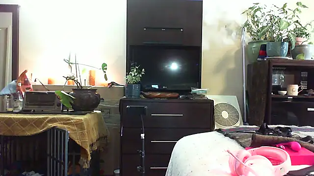 CeceilaMoon online show from July 2026 04:24:02 PM