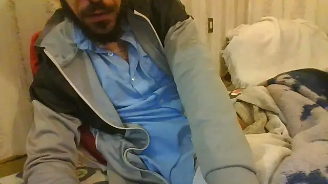 tozebrito hd online show from December 2024 01:42:02 AM