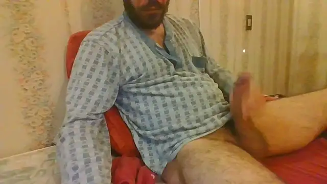 tozebrito hd online show from October 2025 07:51:01 AM