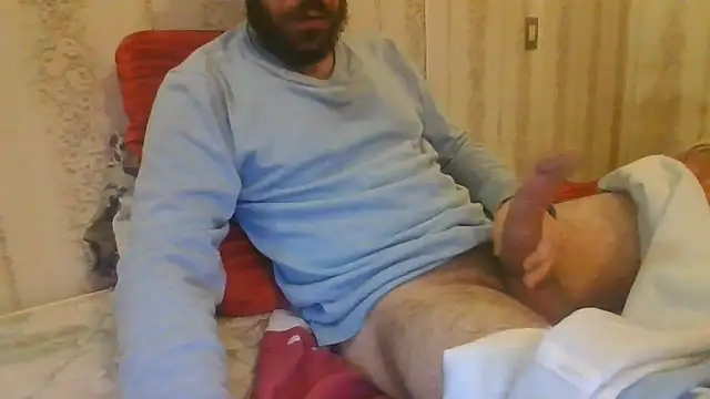 tozebrito hd online show from November 2025 10:42:02 AM