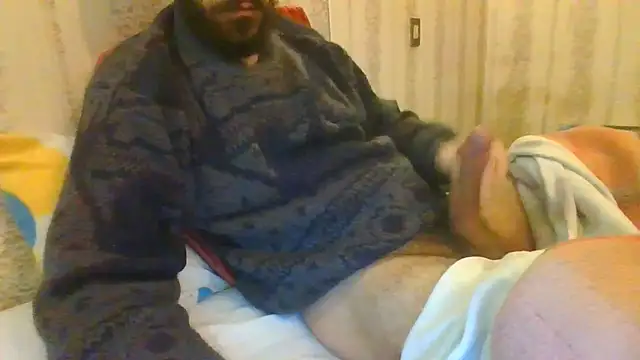 tozebrito hd online show from November 2025 09:14:01 PM