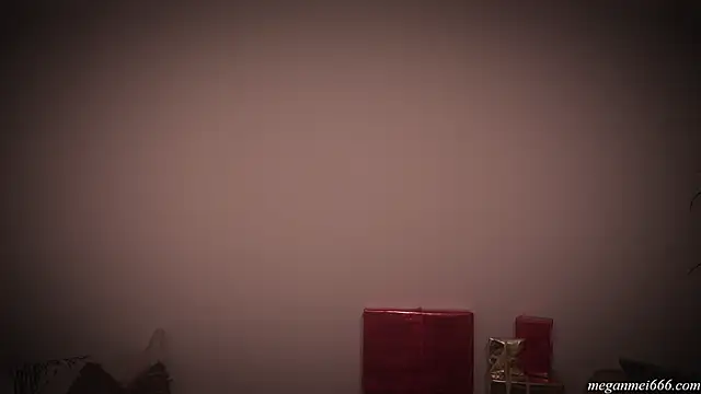 meganmei666 online show from December 2025 02:44:02 AM