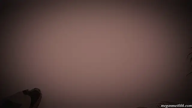 meganmei666 online show from December 2025 02:58:02 AM