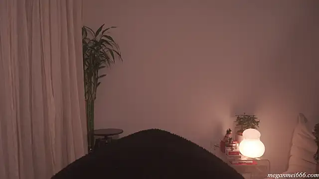 meganmei666 online show from April 2026 02:03:02 AM