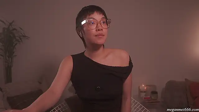 meganmei666 online show from April 2026 02:07:01 AM