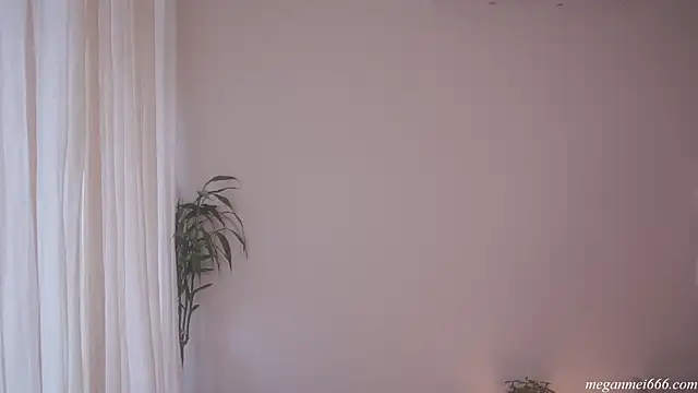 meganmei666 online show from May 2026 06:55:02 PM