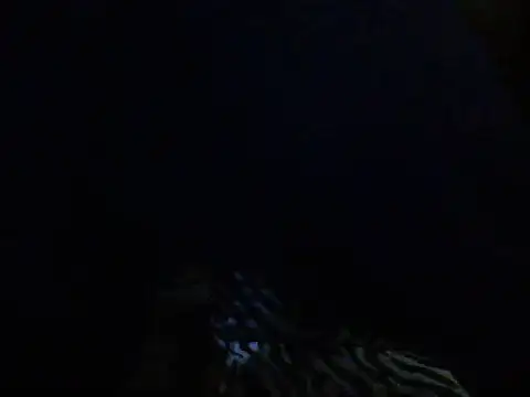 mrdemoncrowly online show from May 2026 04:53:02 AM