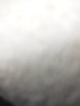 Emily Wane online show from March 2026 06:45:01 PM