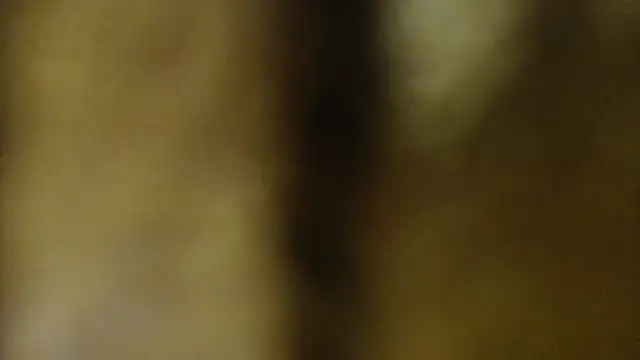 Sophia your online show from March 2026 06:22:01 AM