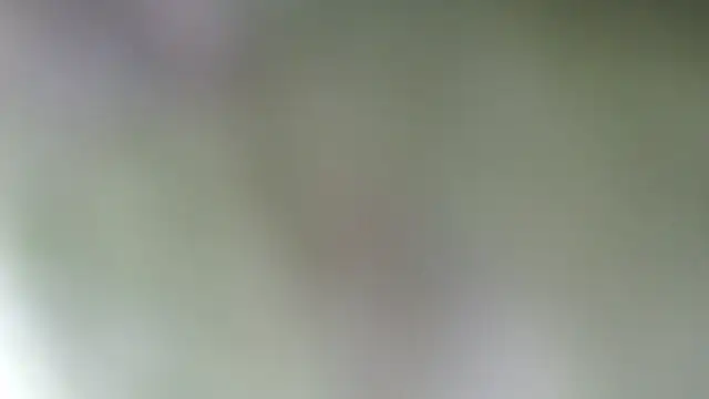 Sophia your online show from March 2025 07:44:01 PM