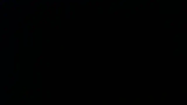 Sophia your online show from April 2026 12:11:02 PM