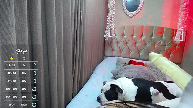 Snapshot of Dreams_sophi chatting on July 2026 11:55:01 PM Dreams sophi online show from July 2026 11:55:01 PM