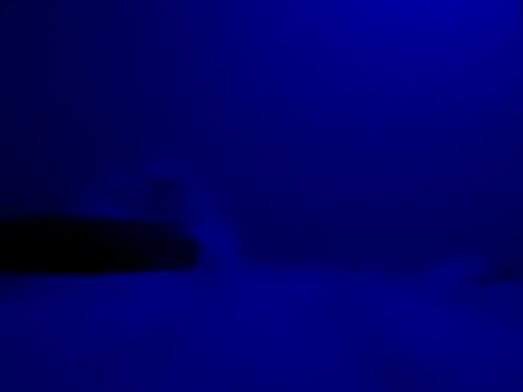 Blkstylion online show from November 2025 08:20:02 PM