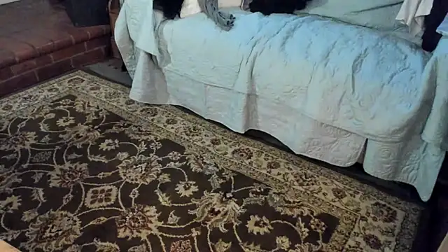 Dark Asteroid online show from December 2025 03:03:01 PM