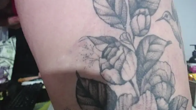 thalia tits online show from February 2026 11:27:02 PM