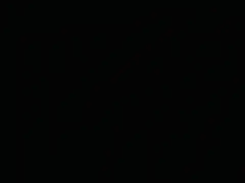 Snapshot of Sattine chatting on February 2025 04:24:02 PM Sattine online show from February 2025 04:24:02 PM