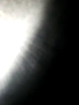 Snapshot of hotdog4you2 chatting on October 2025 09:56:02 PM hotdog4you2 online show from October 2025 09:56:02 PM