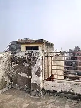 Snapshot of _Redwine_ chatting on December 2025 06:05:01 AM Redwine online show from December 2025 06:05:01 AM