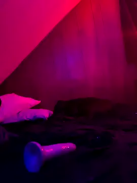 nicedicknicetats online show from November 2025 04:16:01 AM