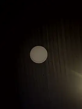 Amareto  online show from January 2026 10:08:02 AM