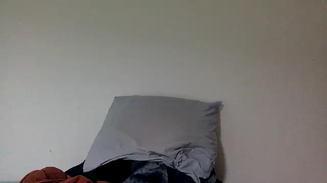 molozeb online show from November 2025 08:01:02 PM