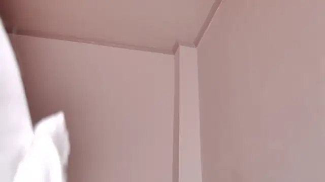 Snapshot of caarlywhitee chatting on February 2026 01:49:02 AM caarlywhitee online show from February 2026 01:49:02 AM