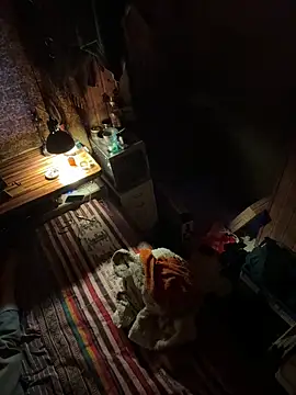 SexToyOnely online show from November 2025 08:13:02 AM