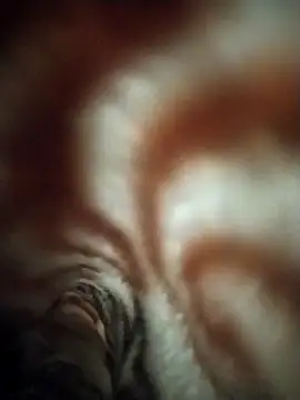 FantasticWonders9 online show from April 2026 10:24:02 PM