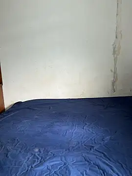 OneDisplay online show from June 2026 10:32:01 AM