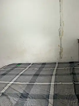OneDisplay online show from July 2026 10:48:02 AM