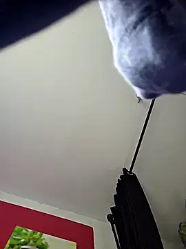 dieGeile0411 online show from October 2025 09:52:01 AM