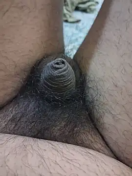 dirtybearr online show from February 2026 05:42:02 PM