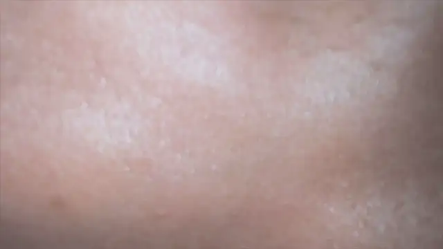 nosleepforlink online show from February 2025 08:53:02 PM